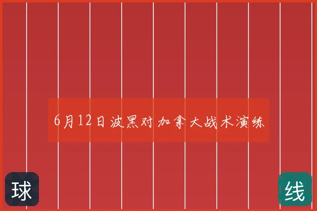 6月12日波黑对加拿大战术演练